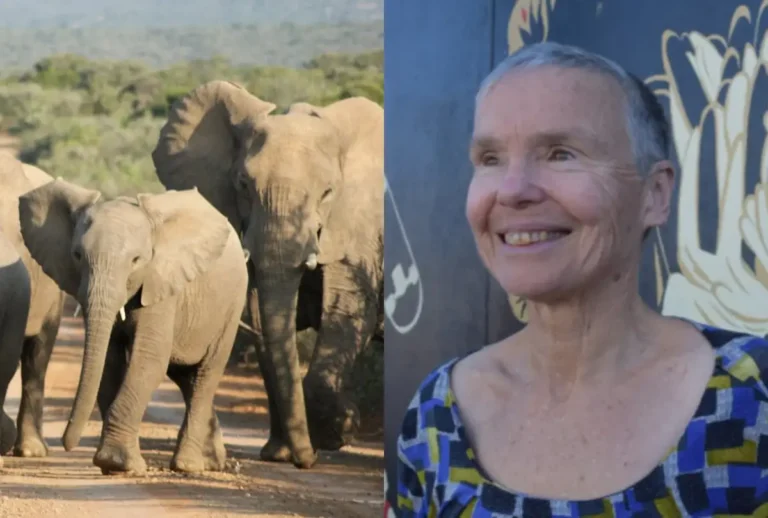primas-pisoteadas-safari