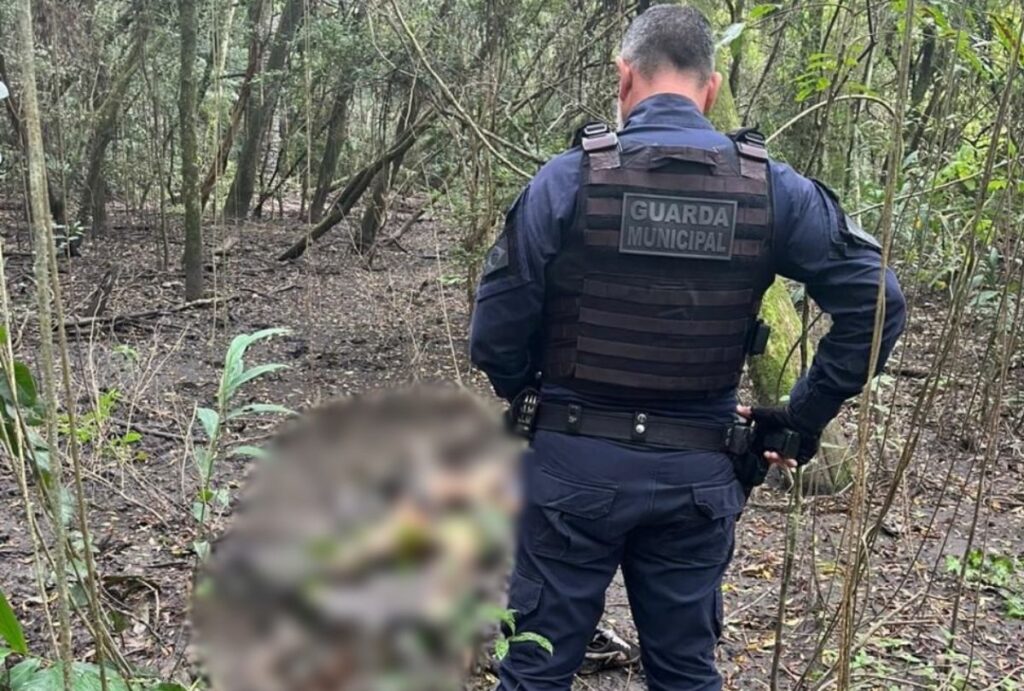 Mulher morta em Araucária