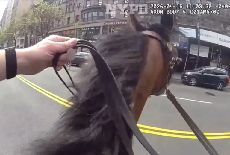 perseguição cavalo