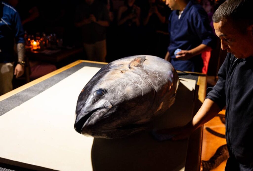 Bluefin, conhecido como atum-azul