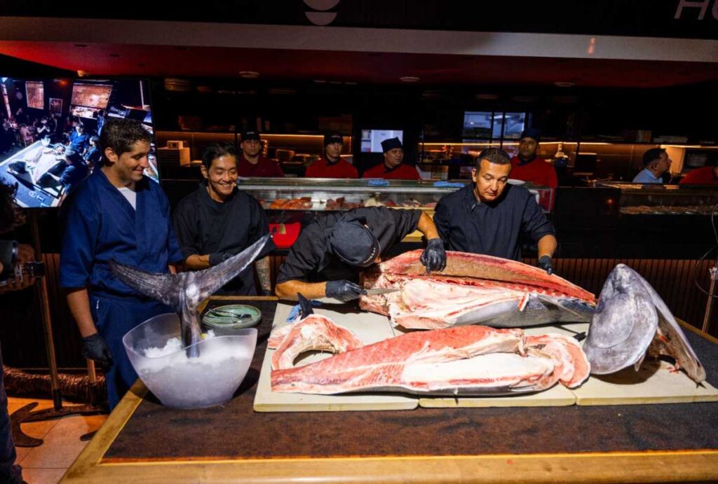 Atum-azul sendo servido em jantar