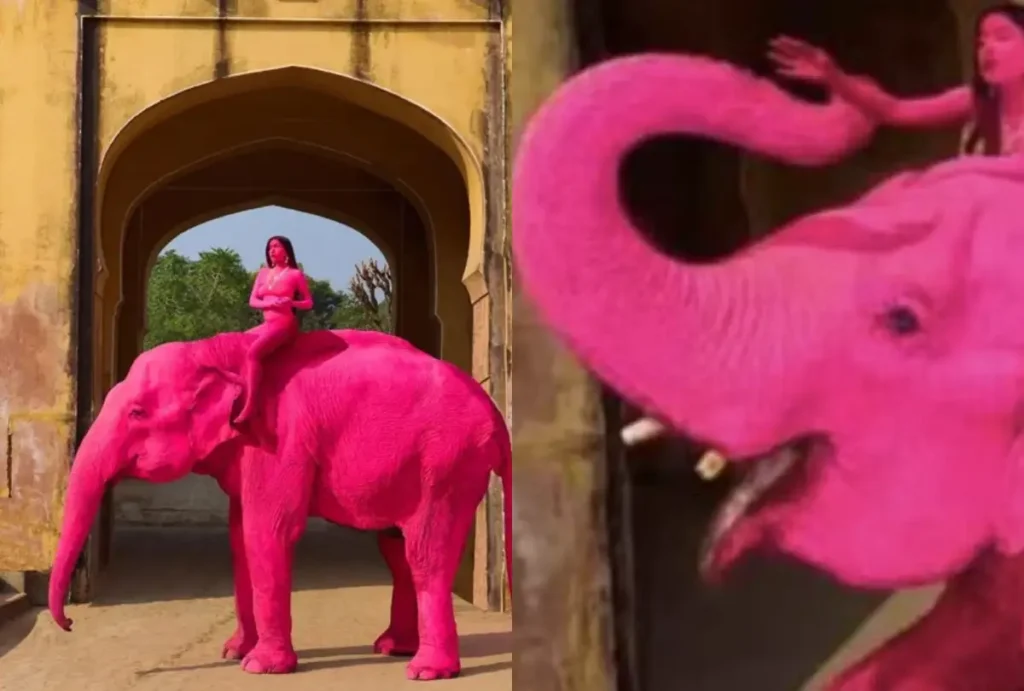 elefanta-pintada-rosa