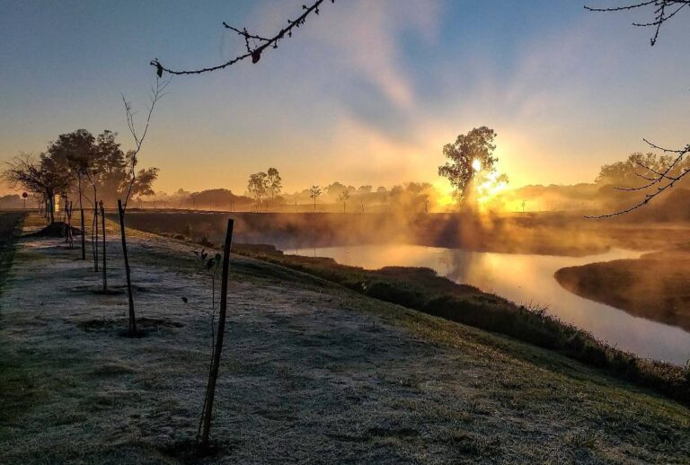 Parque com neblina e geada no nascer do sol