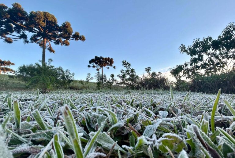 frio intenso geada sul do brasil