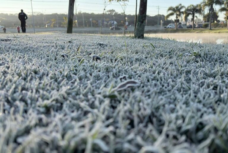 Frio no Paraná