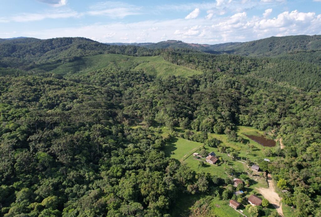 Área de Relevante Interesse Ecológico (ARIE) dos Monos de Castro