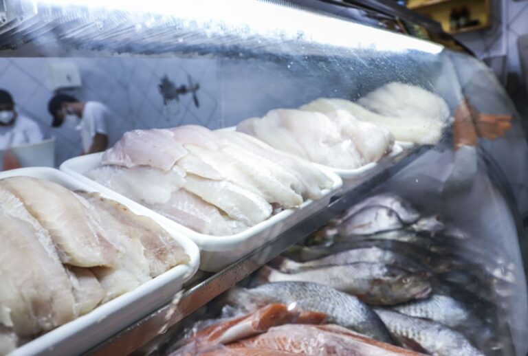 onde-comprar-peixe-curitiba