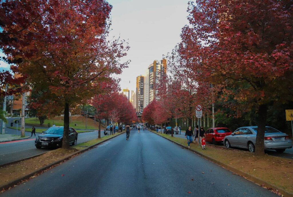 Rua do Outono em Curitiba