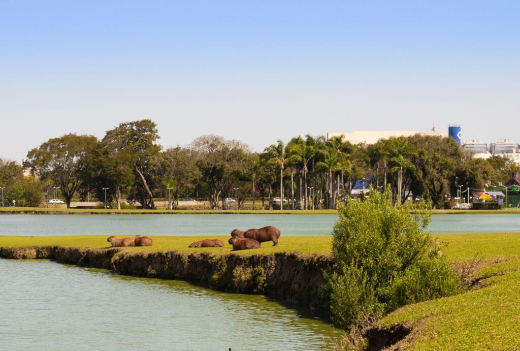 previsao-tempo-abril-parana