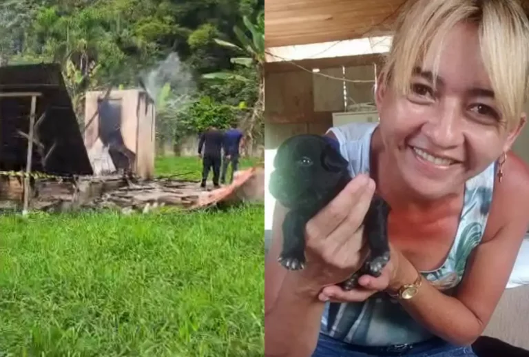 montagem com foto de soeli maria protetora de caes e local em chamas