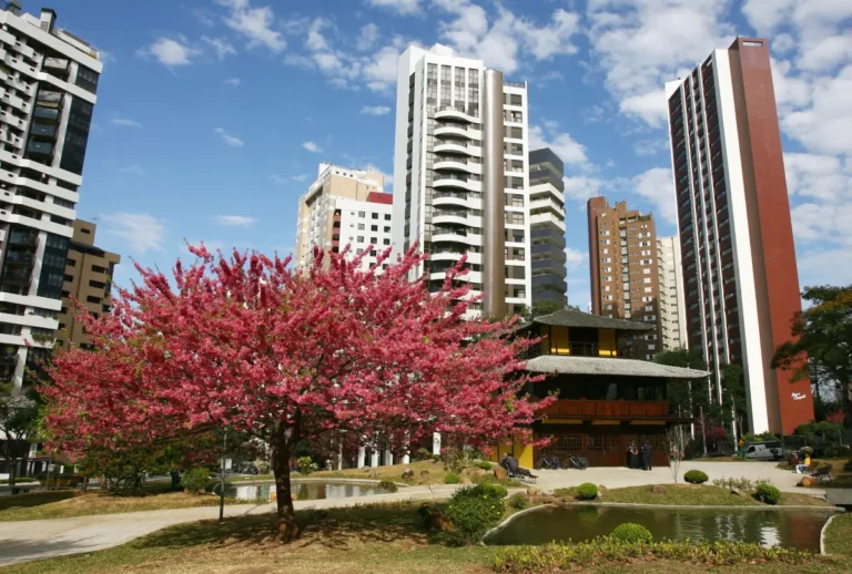 rota-cultura-japonesa-curitiba