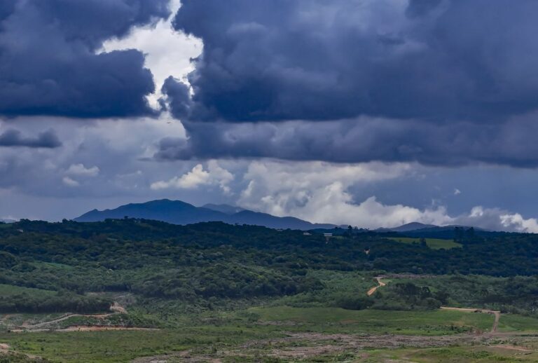Campo em um dia nublado