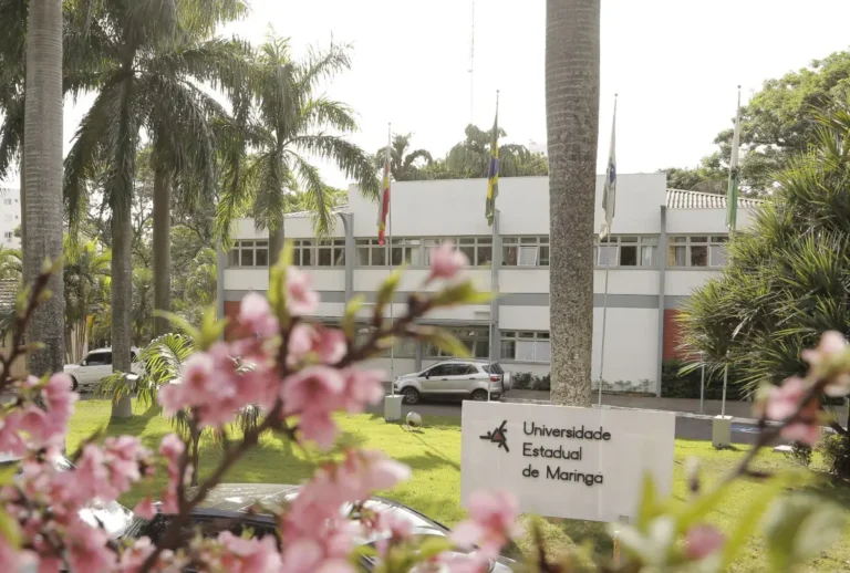 vestibular-universidade-estadual-de-maringa