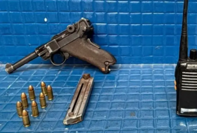 alemanha nazista