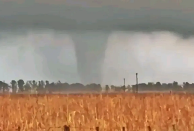 tornado brasil