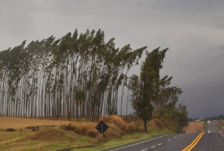 Alerta de vendaval no Paraná