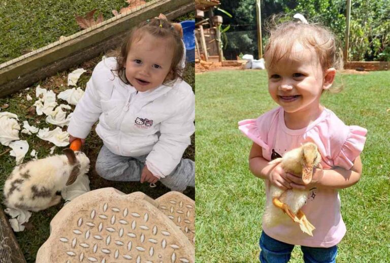 Montagem com fotos de Ana Emilia Huchak