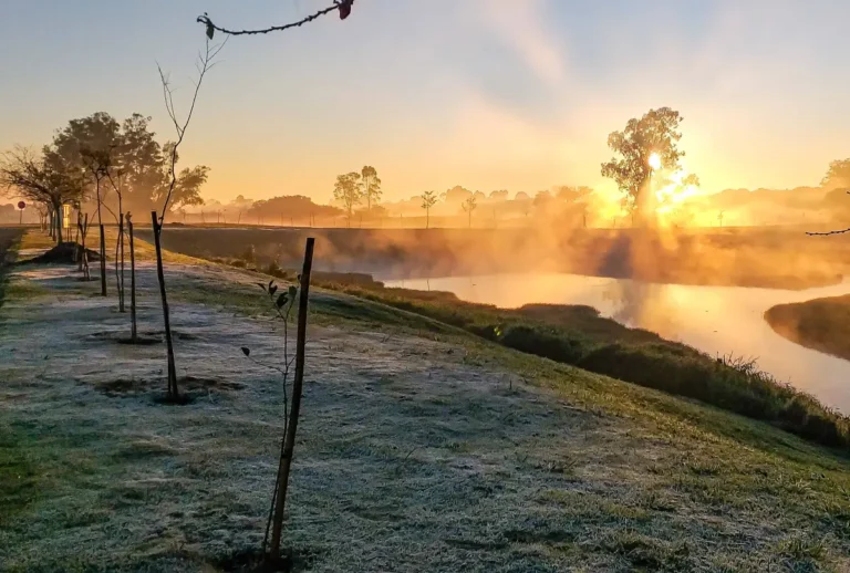 Paraná teve amanhecer mais frio do ano