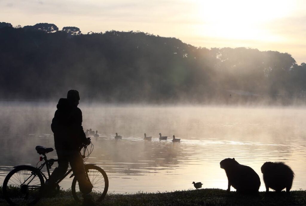 Frio no Paraná