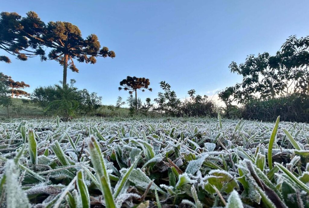 Geada no Paraná