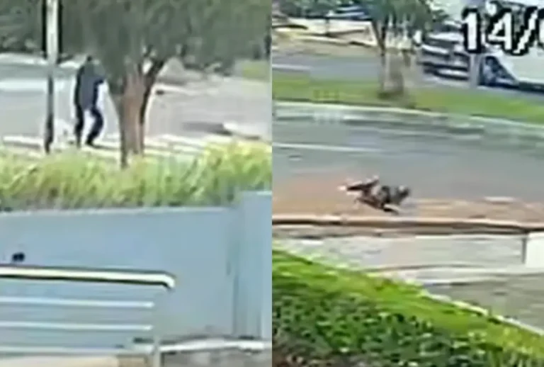 Idoso morreu atropelado