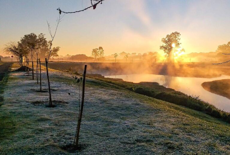 Onda de frio no Paraná