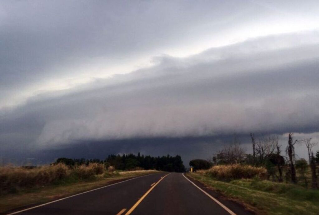 Vendaval no Paraná