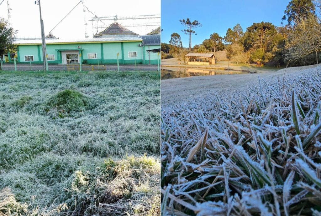 Frio Paraná