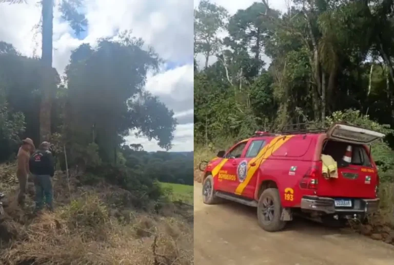 Área de mata rural onde o idoso foi encontrado pelas equipes de bombeiros.