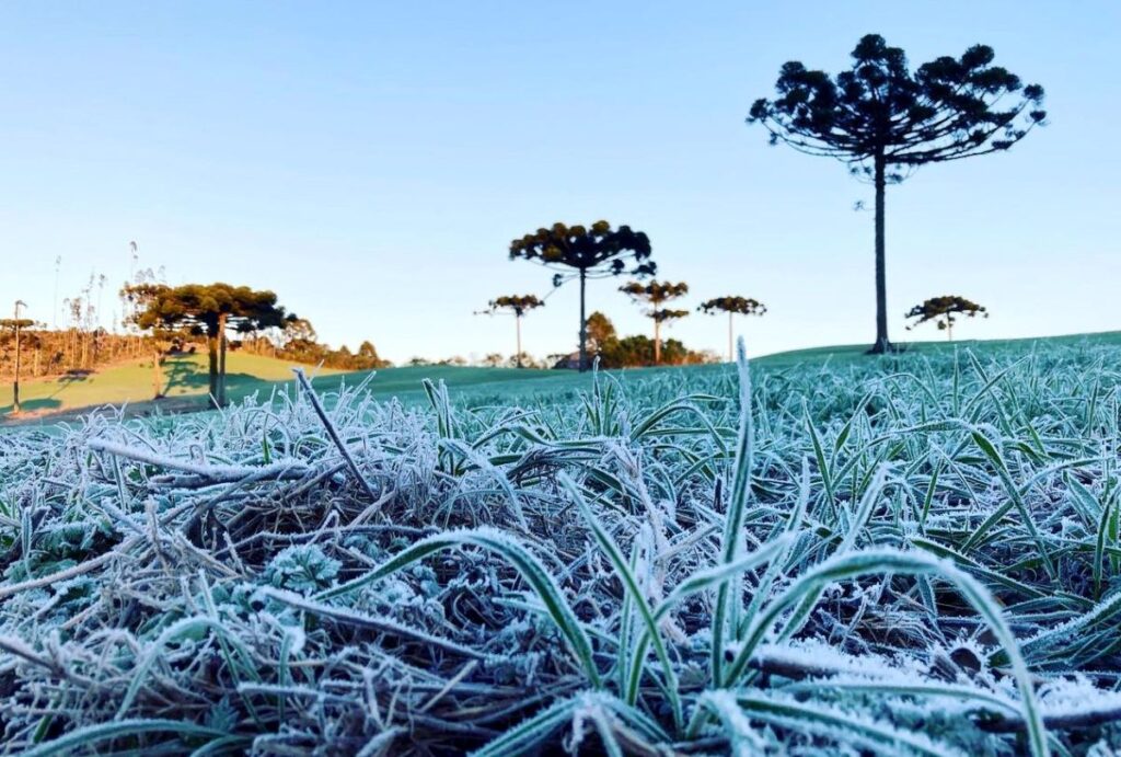 Frio no Paraná