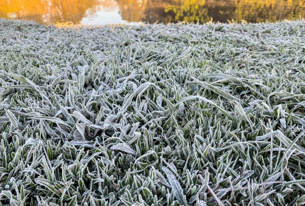 Frio no Paraná