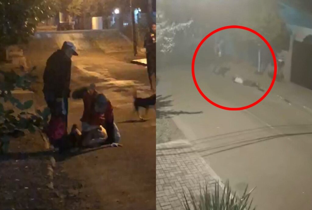 montagem com fotos da agressão em Francisco Beltrão