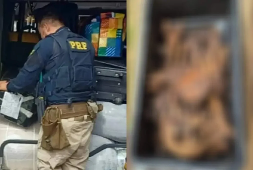 Ossada humana encontrada durante fiscalização da PRF