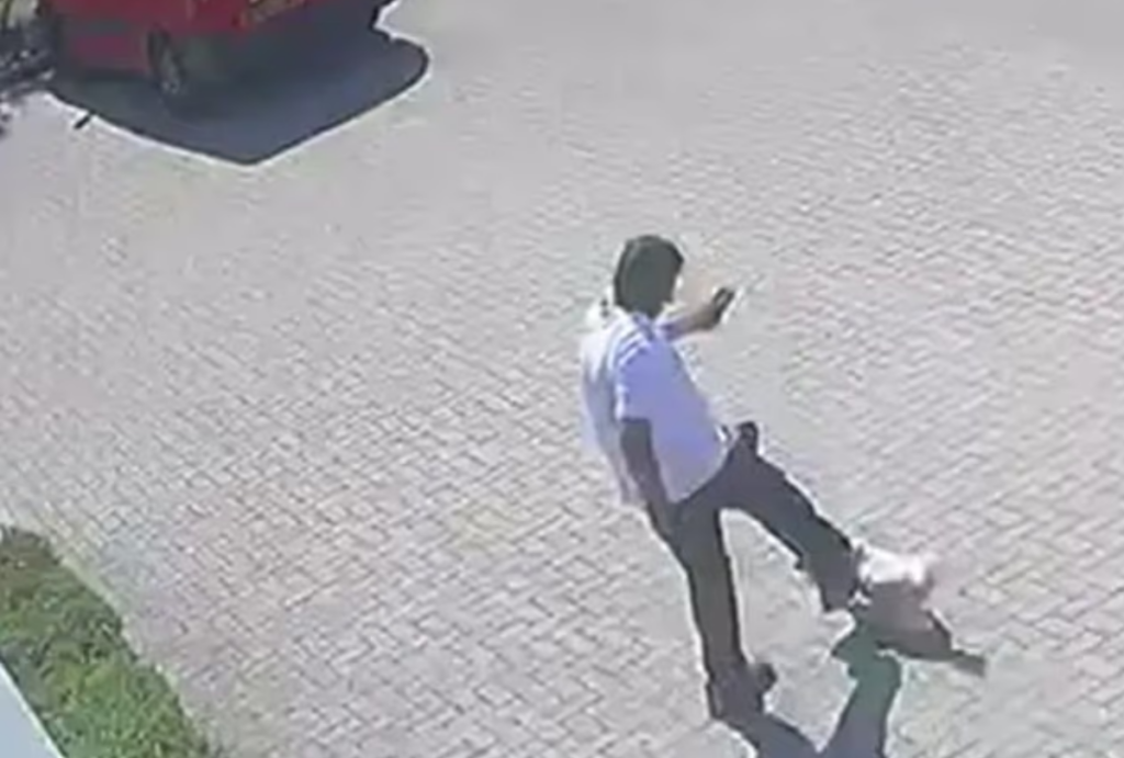 carteiro mata cadela com chute