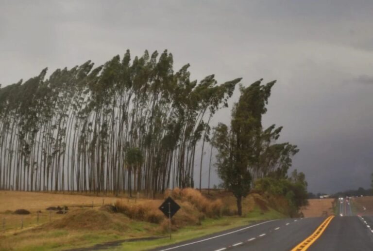Alerta de vendaval no Paraná