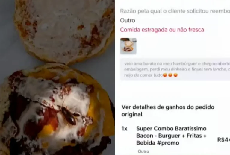 Cliente usa IA para colocar barata em hambúrguer