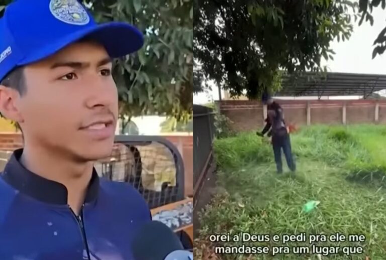 corta-grama-de-graça-maringá