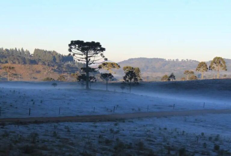 Frente fria