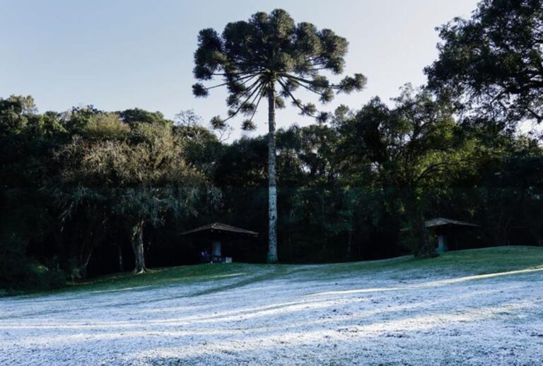 Frio