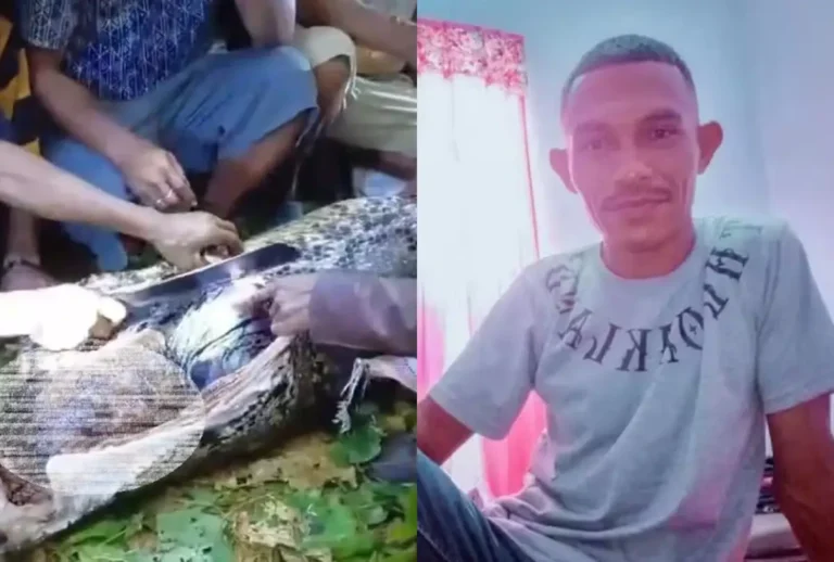 Homem comido por cobra