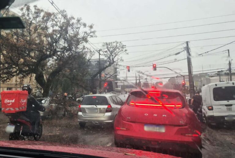 árvore cai em cima de carro em Curitiba