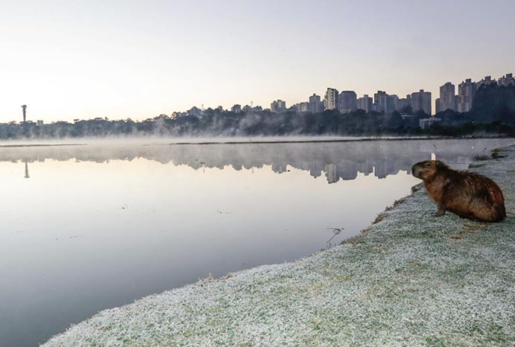 Frio em Curitiba