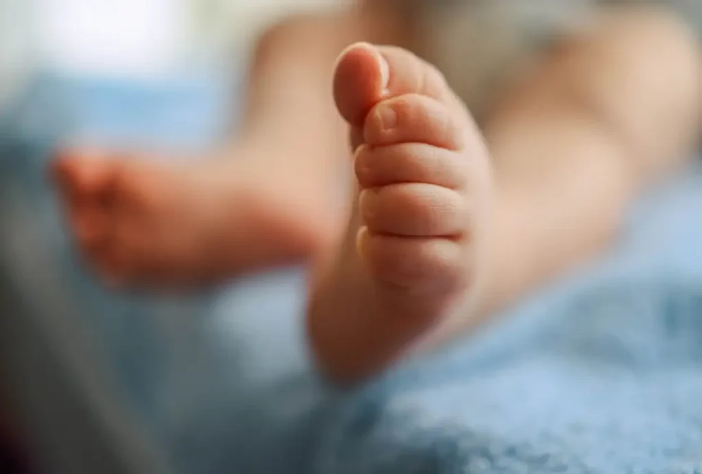Bebê enrolado em cobertor