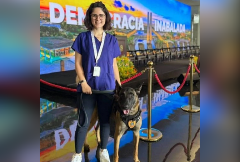 veterinária atacada por cachorro do senado