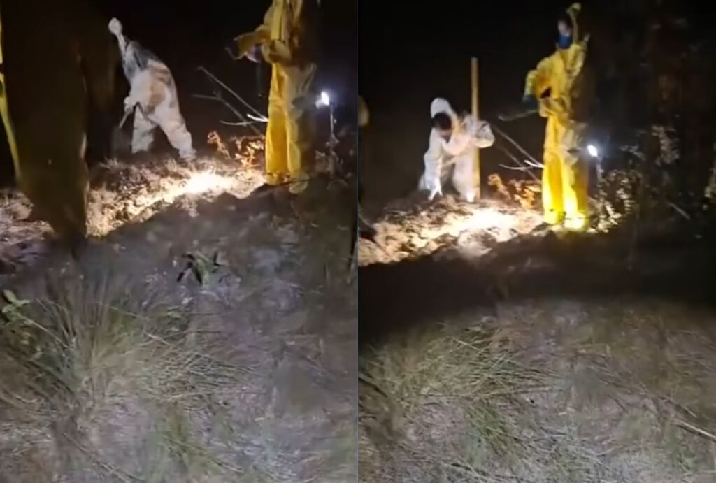 Adolescente encontrada morta