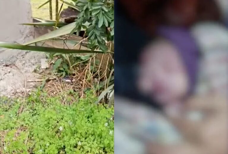 Bebê encontrado em Piraquara