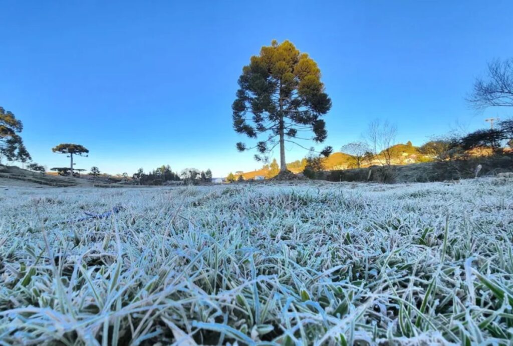 Frio no Paraná