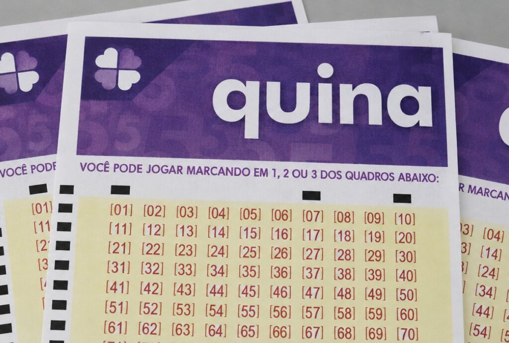 Confira o resultado da Quina 7096 de hoje (19/08/2026), veja as dezenas sorteadas, prêmio acumulado de R$ 13,5 milhões e quando será o próximo sorteio.