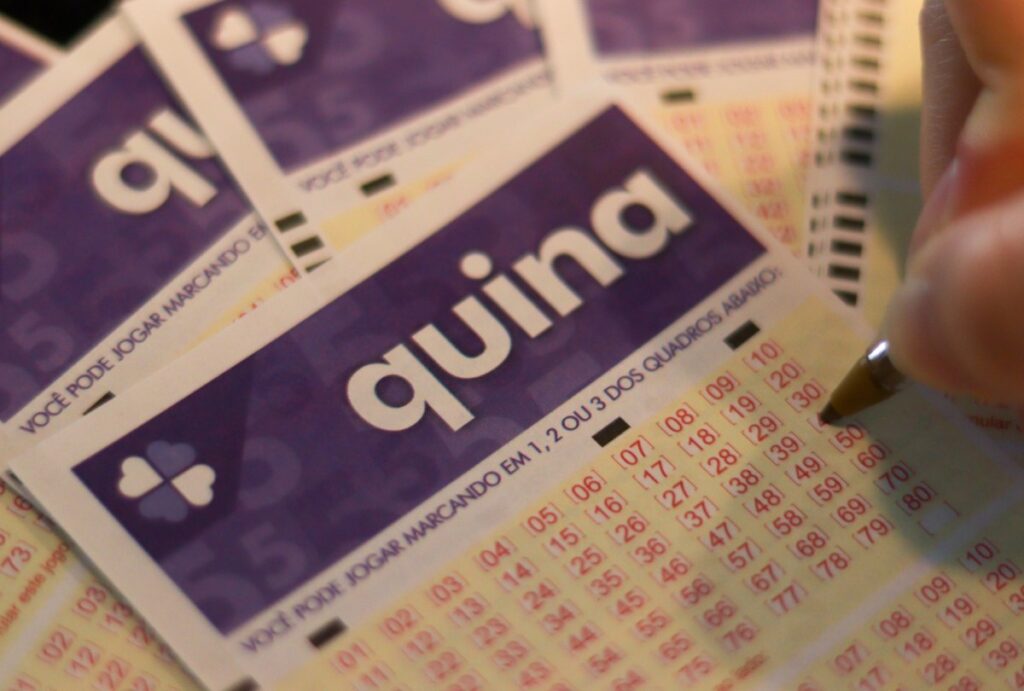 Confira o resultado da Quina 7097 de hoje (20/08/2026), veja as dezenas sorteadas, prêmio acumulado de R$ 15 milhões e quando será o próximo sorteio.