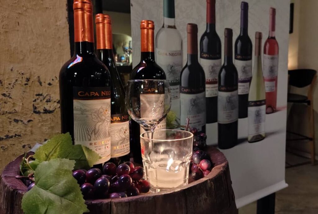 Vinhos Capa Negra